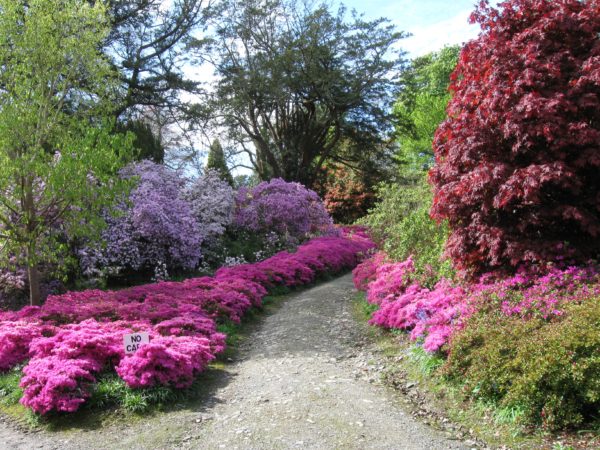 Gardens